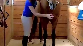 Multi Porn Videos 21